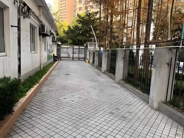 2025上海城市形象片焕新发布：上海新一刻，城市因你更美好
